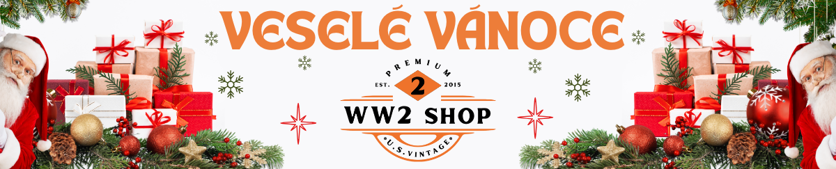 12_6 Vánoční motiv